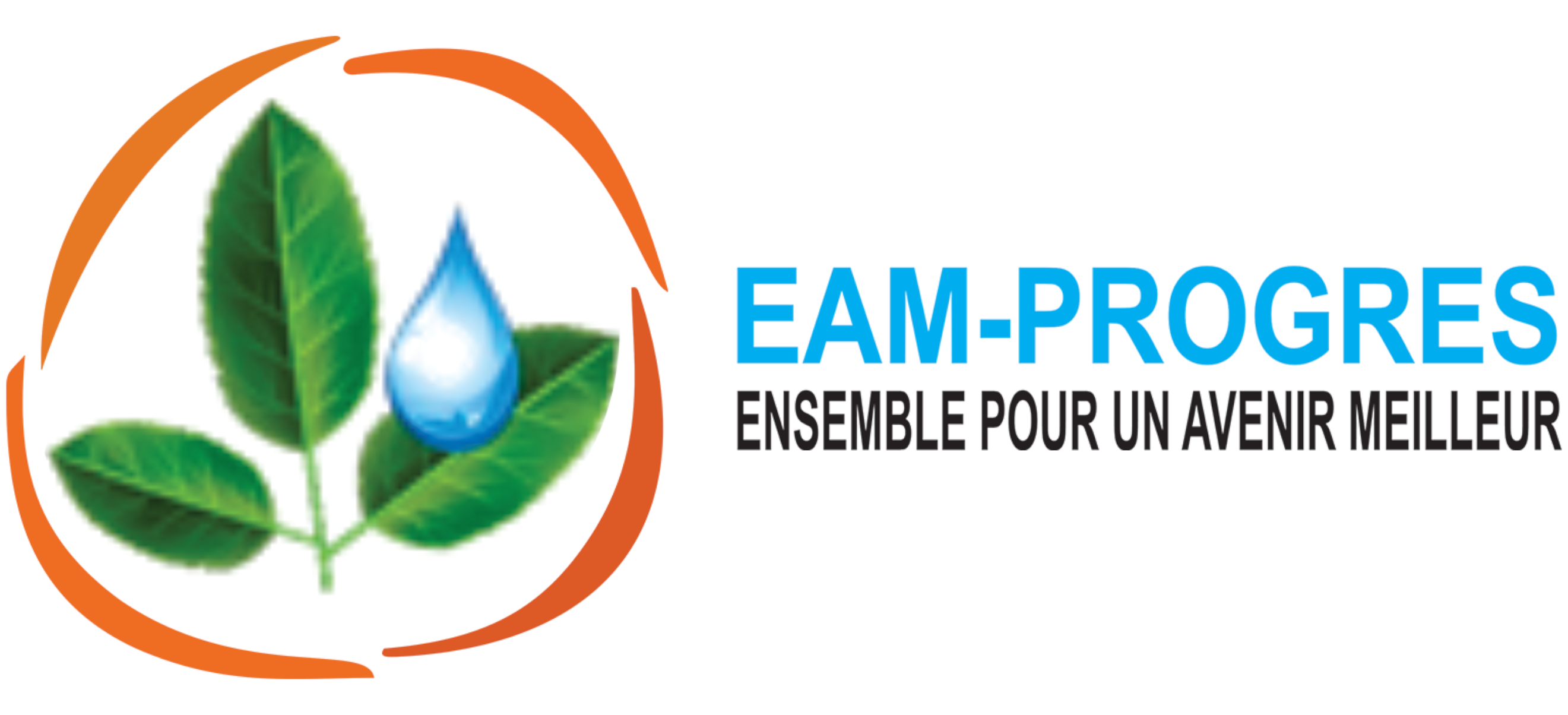 EAM-PROGRES